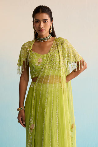 Green bahaar minali drape saree