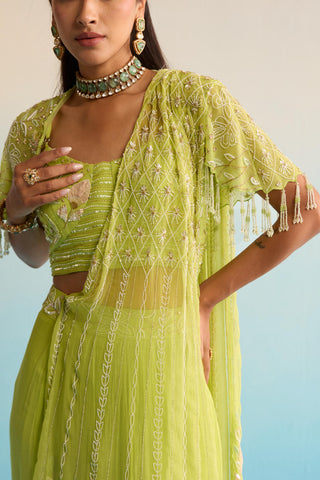 Green bahaar minali drape saree
