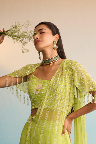 Green bahaar minali drape saree