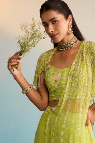 Green bahaar minali drape saree