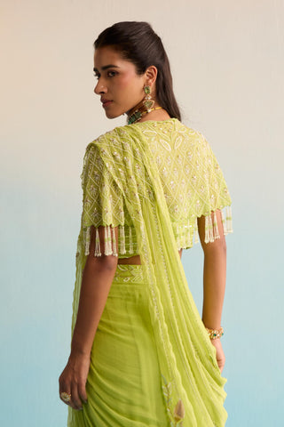Green bahaar minali drape saree