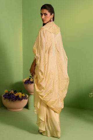 Beige bahaar arwa cape set