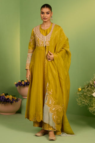 Yellow bahaar noor anarkali set