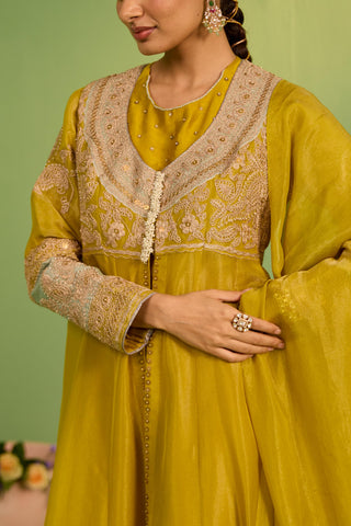Yellow bahaar noor anarkali set