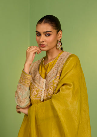 Yellow bahaar noor anarkali set