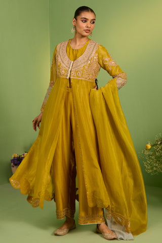 Yellow bahaar noor anarkali set