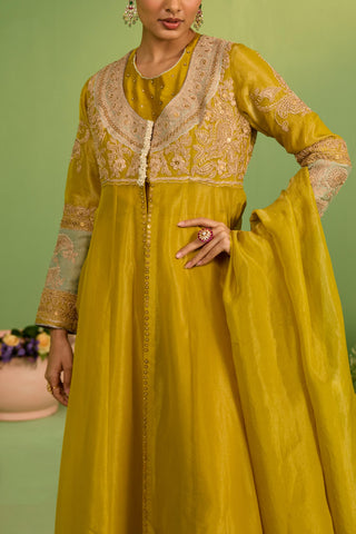 Yellow bahaar noor anarkali set