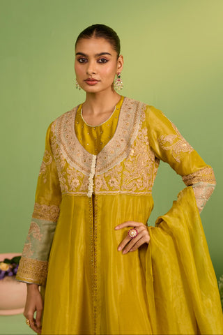 Yellow bahaar noor anarkali set