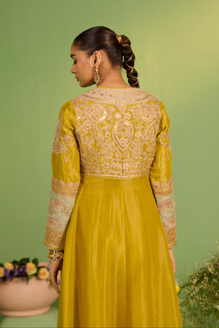 Yellow bahaar noor anarkali set