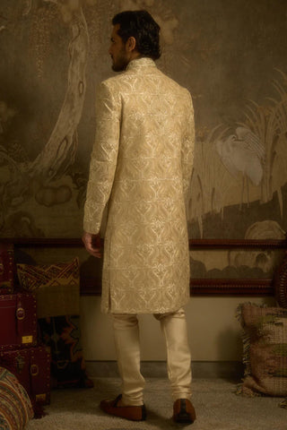 Ivory stardust mehraan sherwani