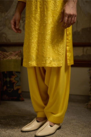 Yellow stardust heerbasant kurta