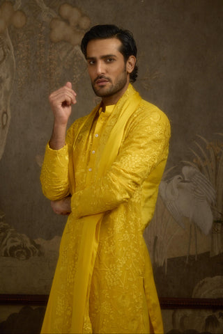 Yellow stardust heerbasant kurta