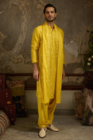 Yellow stardust heerbasant kurta