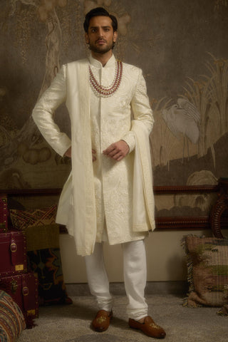 Ivory stardust afreen sherwani