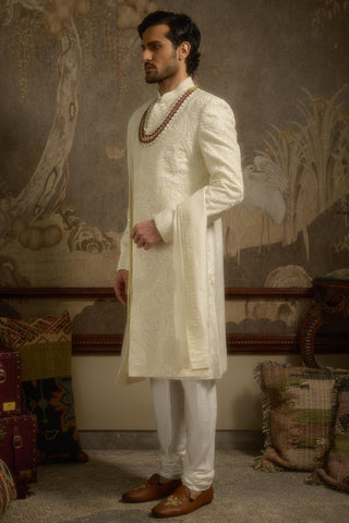 Ivory stardust afreen sherwani