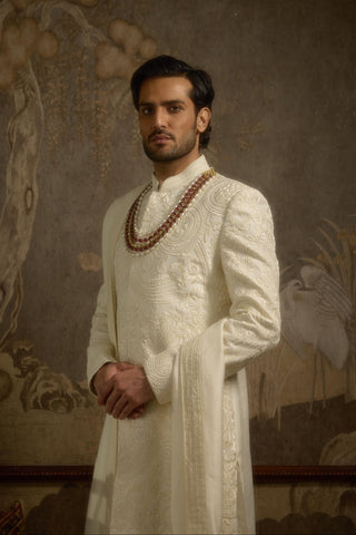 Ivory stardust afreen sherwani