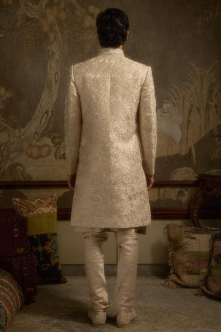 Pink stardust haathiraaj sherwani