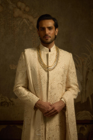 Beige stardust zarbagh sherwani