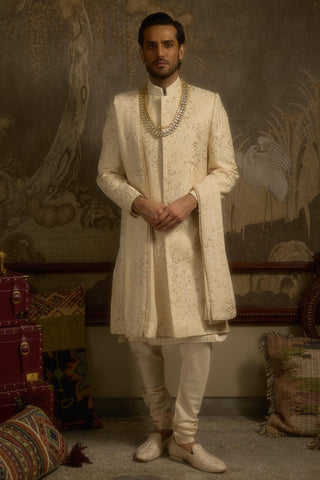 Beige stardust zarbagh sherwani