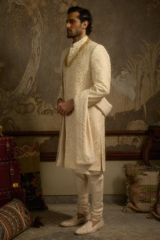 Beige stardust zarbagh sherwani