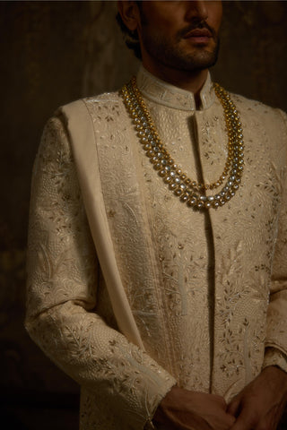 Beige stardust zarbagh sherwani