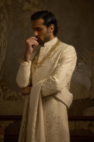 Beige stardust zarbagh sherwani
