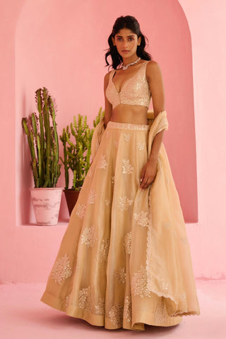 Lehenga Indian Wedding - Beige Adah Lehenga by Chamee & Palak