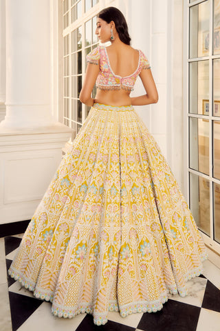Yellow aratrika lehenga set