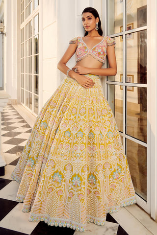 Yellow aratrika lehenga set