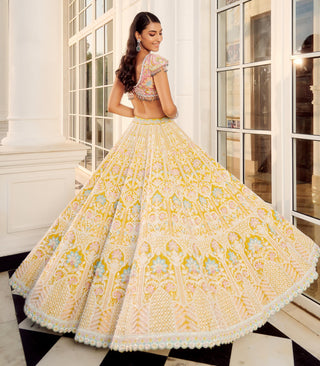 Yellow aratrika lehenga set