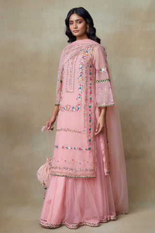 Pink Kurta Set for Indian Wedding – Birdy by Shasha Gaba