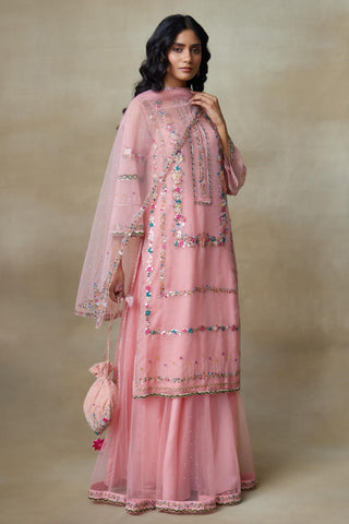 Pink Kurta Set for Indian Wedding – Birdy by Shasha Gaba