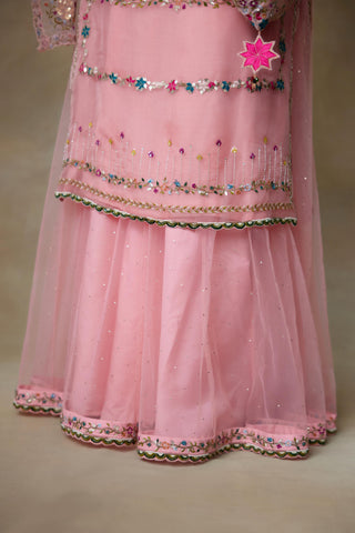 Pink Kurta Set for Indian Wedding – Birdy by Shasha Gaba