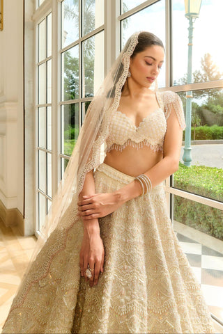 Beige blaire lehenga set
