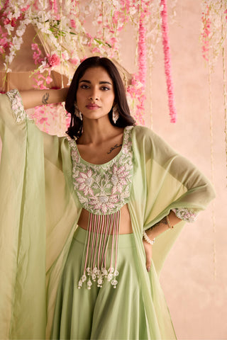 Green lily under bloom sharara set
