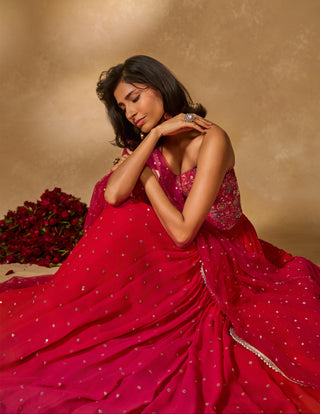 Corset Lehenga Indian Wedding – Pink Aries Lehenga by Chamee & Palak