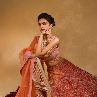 Lehenga Set Indian Wedding Orange Mahira Lehenga by Chamee & Palak