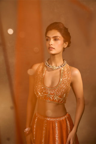 Lehenga Set Indian Wedding Orange Maple Lehenga by Chamee & Palak