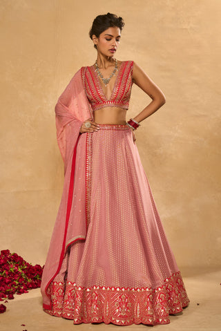 Lehenga Set Indian Wedding Pink Mina Daman Lehenga by Chamee & Palak