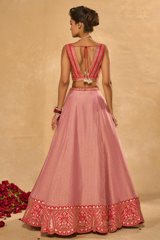 Lehenga Set Indian Wedding Pink Mina Daman Lehenga by Chamee & Palak
