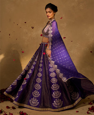 Lehenga Set Indian Wedding Purple Maitri Lehenga by Chamee & Palak