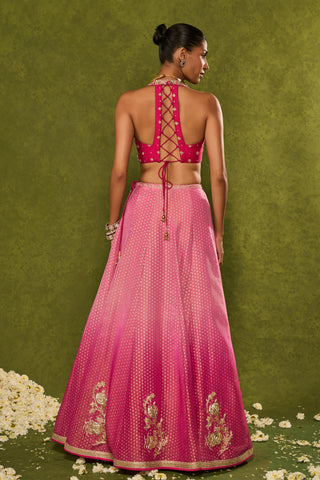 Lehenga Set Indian Wedding Pink Inara Lehenga by Chamee & Palak