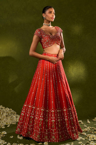 Lehenga Set Indian Wedding Red Anandi Lehenga by Chamee & Palak