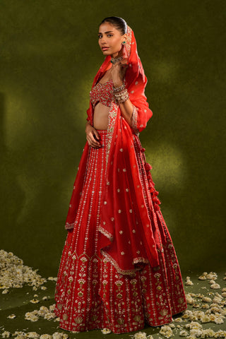 Lehenga Set Indian Wedding Red Anandi Lehenga by Chamee & Palak