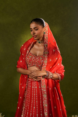 Lehenga Set Indian Wedding Red Anandi Lehenga by Chamee & Palak
