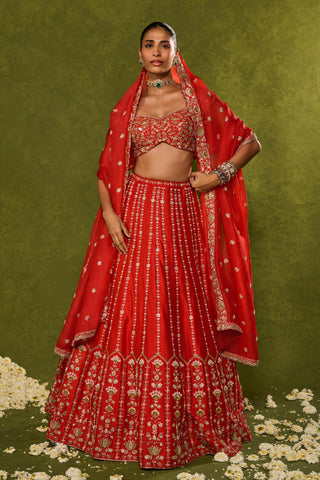 Lehenga Set Indian Wedding Red Anandi Lehenga by Chamee & Palak