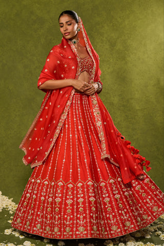 Lehenga Set Indian Wedding Red Anandi Lehenga by Chamee & Palak