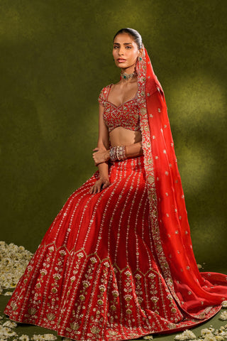 Lehenga Set Indian Wedding Red Anandi Lehenga by Chamee & Palak
