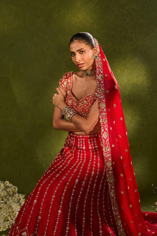 Lehenga Set Indian Wedding Red Anandi Lehenga by Chamee & Palak