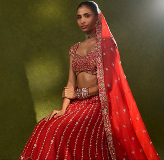 Lehenga Set Indian Wedding Red Anandi Lehenga by Chamee & Palak